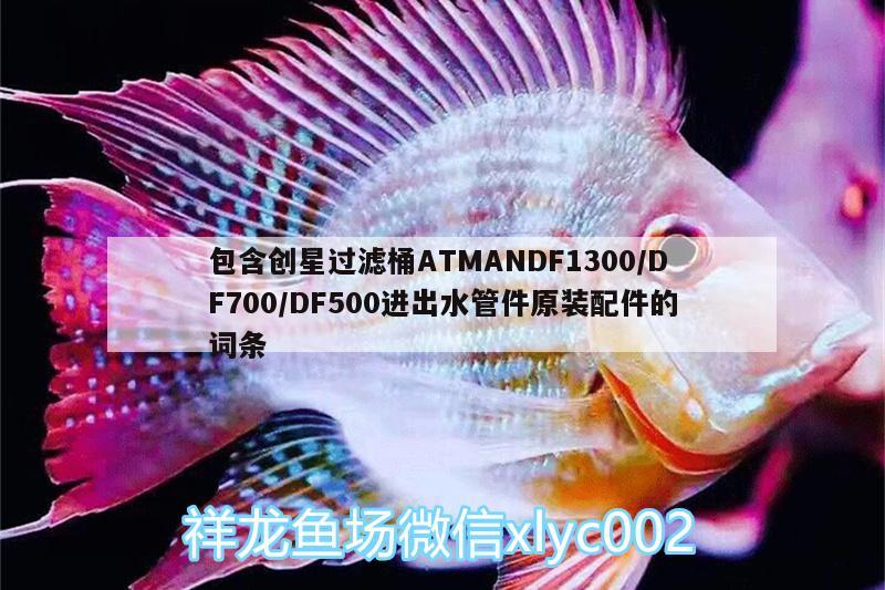 包含創(chuàng)星過(guò)濾桶ATMANDF1300/DF700/DF500進(jìn)出水管件原裝配件的詞條