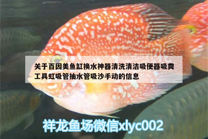 關(guān)于百因美魚(yú)缸換水神器清洗清潔吸便器吸糞工具虹吸管抽水管吸沙手動(dòng)的信息