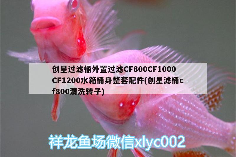 創(chuàng)星過(guò)濾桶外置過(guò)濾CF800CF1000CF1200水箱桶身整套配件(創(chuàng)星濾桶cf800清洗轉(zhuǎn)子)