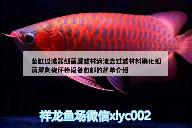 魚(yú)缸過(guò)濾器細(xì)菌屋濾材滴流盒過(guò)濾材料硝化細(xì)菌屋陶瓷環(huán)棒設(shè)備包郵的簡(jiǎn)單介紹 硝化細(xì)菌