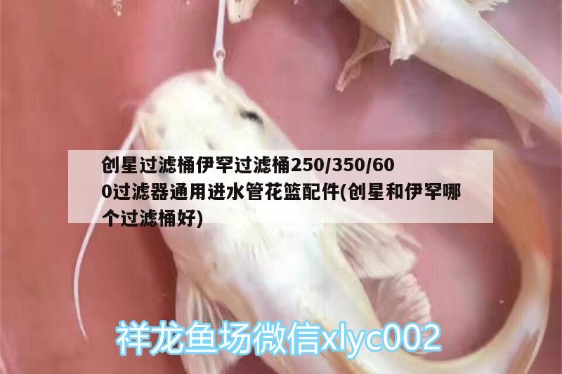 創(chuàng)星過濾桶伊罕過濾桶250/350/600過濾器通用進(jìn)水管花籃配件(創(chuàng)星和伊罕哪個(gè)過濾桶好)