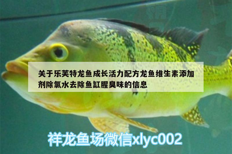 關(guān)于樂芙特龍魚成長活力配方龍魚維生素添加劑除氯水去除魚缸腥臭味的信息 廣州水族器材濾材批發(fā)市場