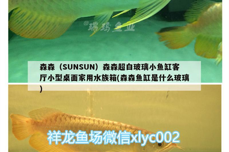 森森（SUNSUN）森森超白玻璃小魚缸客廳小型桌面家用水族箱(森森魚缸是什么玻璃) 魚缸/水族箱