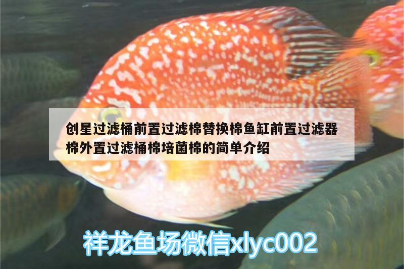 創(chuàng)星過濾桶前置過濾棉替換棉魚缸前置過濾器棉外置過濾桶棉培菌棉的簡(jiǎn)單介紹 廣州水族器材濾材批發(fā)市場(chǎng)