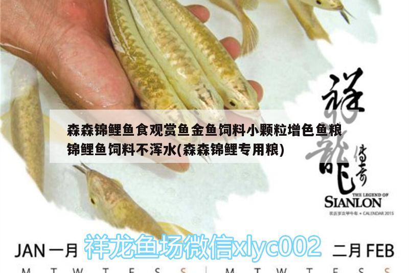 森森錦鯉魚食觀賞魚金魚飼料小顆粒增色魚糧錦鯉魚飼料不渾水(森森錦鯉專用糧)