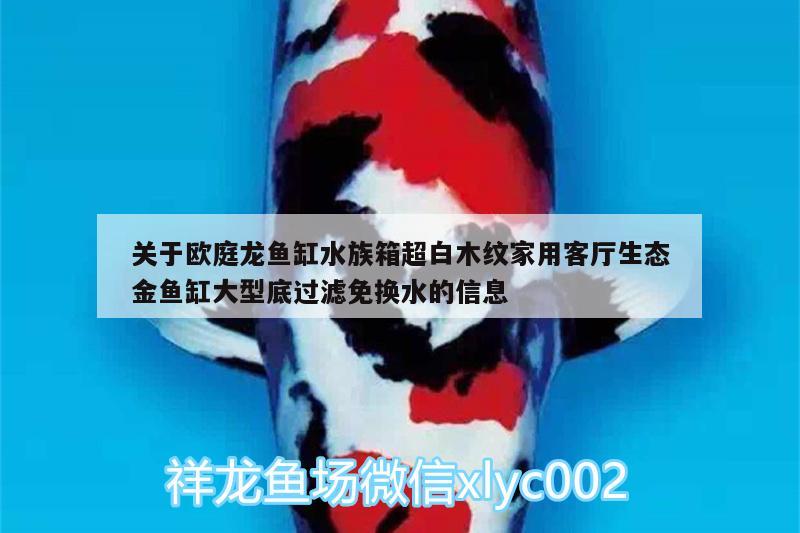 關于歐庭龍魚缸水族箱超白木紋家用客廳生態(tài)金魚缸大型底過濾免換水的信息