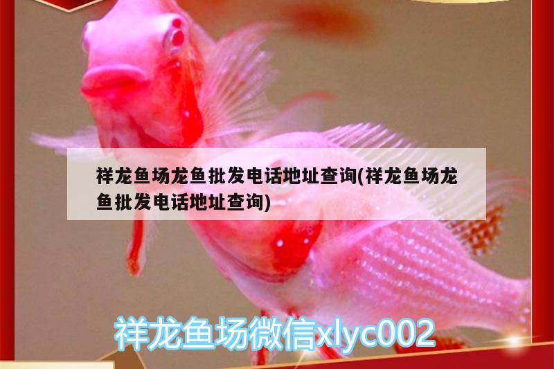 祥龍魚場龍魚批發(fā)電話地址查詢(祥龍魚場龍魚批發(fā)電話地址查詢)