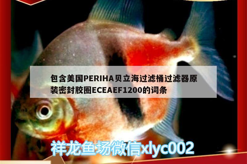 包含美國PERIHA貝立海過濾桶過濾器原裝密封膠圈ECEAEF1200的詞條