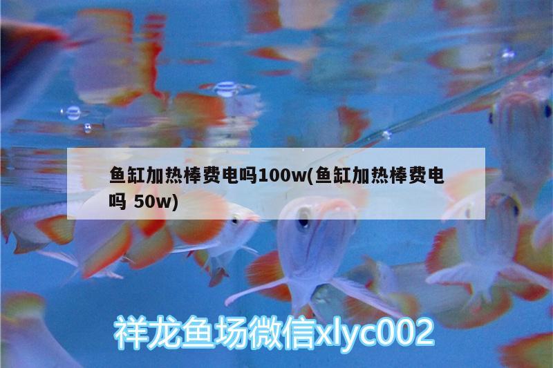 魚缸加熱棒費(fèi)電嗎100w(魚缸加熱棒費(fèi)電嗎50w) 紅白錦鯉魚