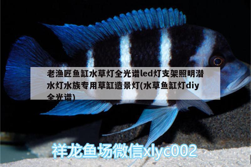 老漁匠魚缸水草燈全光譜led燈支架照明潛水燈水族專用草缸造景燈(水草魚缸燈diy全光譜)