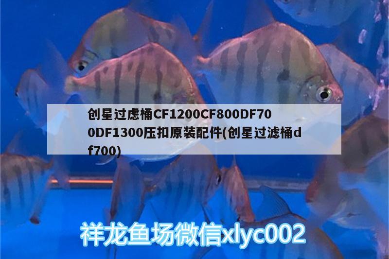 創(chuàng)星過慮桶CF1200CF800DF700DF1300壓扣原裝配件(創(chuàng)星過濾桶df700)