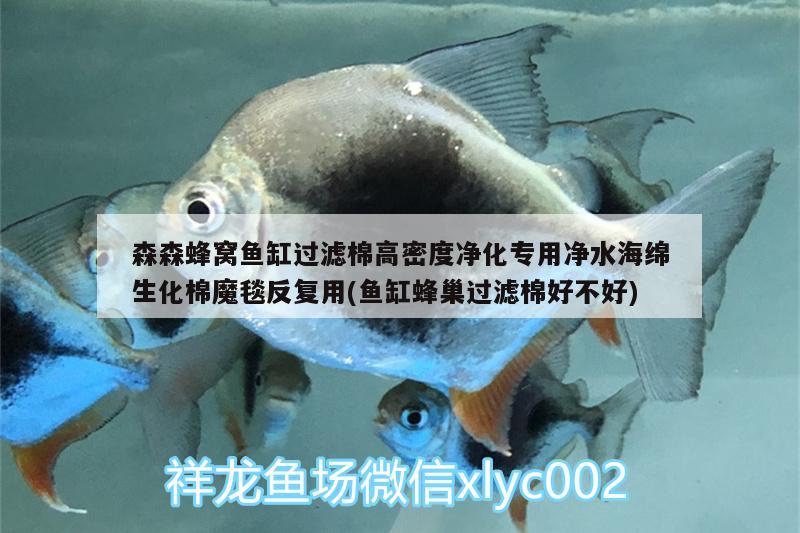 森森蜂窩魚缸過濾棉高密度凈化專用凈水海綿生化棉魔毯反復(fù)用(魚缸蜂巢過濾棉好不好) 廣州水族器材濾材批發(fā)市場(chǎng)