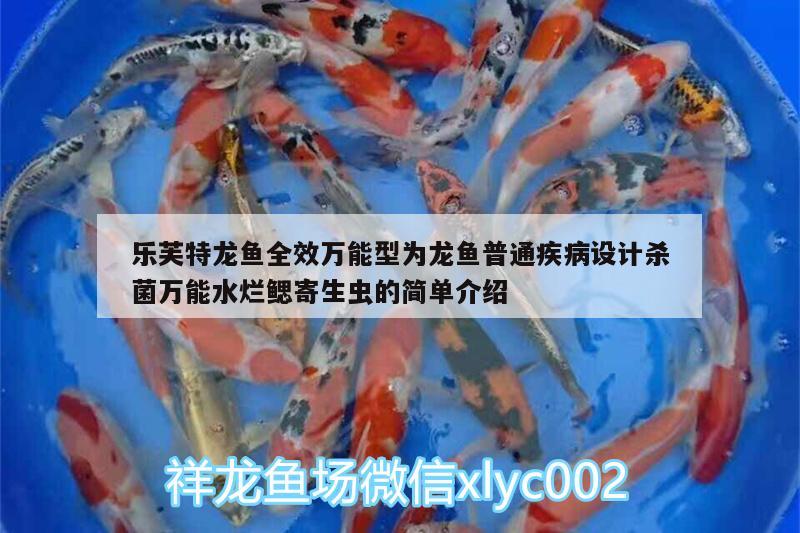 樂芙特龍魚全效萬能型為龍魚普通疾病設(shè)計(jì)殺菌萬能水爛鰓寄生蟲的簡單介紹 廣州水族器材濾材批發(fā)市場