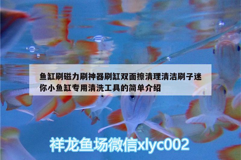 魚(yú)缸刷磁力刷神器刷缸雙面擦清理清潔刷子迷你小魚(yú)缸專(zhuān)用清洗工具的簡(jiǎn)單介紹