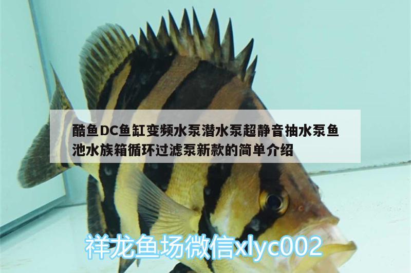 酷魚DC魚缸變頻水泵潛水泵超靜音抽水泵魚池水族箱循環(huán)過濾泵新款的簡單介紹 魚缸/水族箱