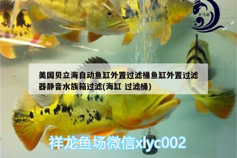 美國貝立海自動魚缸外置過濾桶魚缸外置過濾器靜音水族箱過濾(海缸過濾桶)