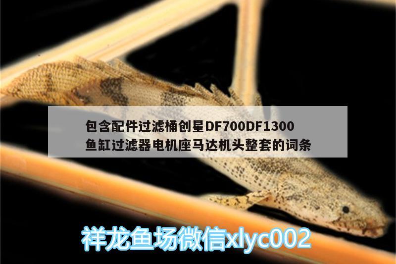 包含配件過(guò)濾桶創(chuàng)星DF700DF1300魚(yú)缸過(guò)濾器電機(jī)座馬達(dá)機(jī)頭整套的詞條 廣州水族器材濾材批發(fā)市場(chǎng)