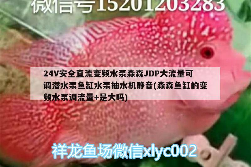 24V安全直流變頻水泵森森JDP大流量可調(diào)潛水泵魚缸水泵抽水機靜音(森森魚缸的變頻水泵調(diào)流量+是大嗎) 魚缸水泵