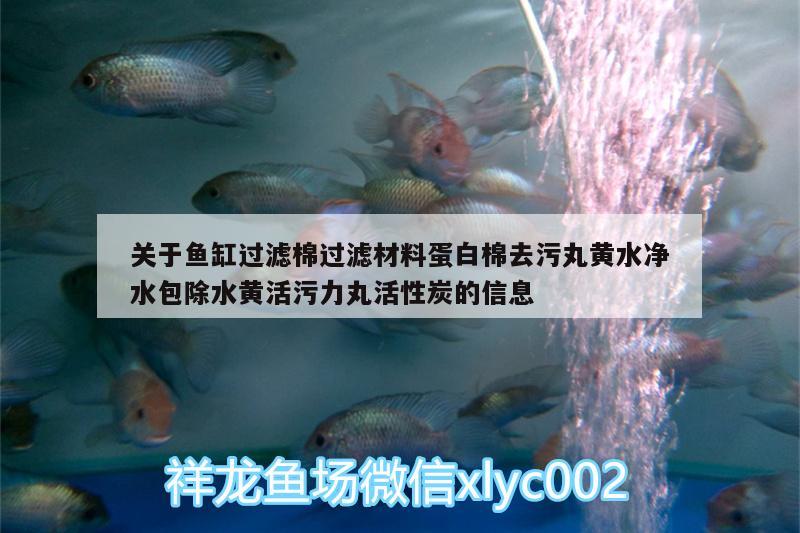 關于魚缸過濾棉過濾材料蛋白棉去污丸黃水凈水包除水黃活污力丸活性炭的信息