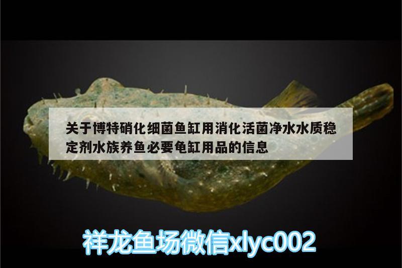 關(guān)于博特硝化細(xì)菌魚(yú)缸用消化活菌凈水水質(zhì)穩(wěn)定劑水族養(yǎng)魚(yú)必要龜缸用品的信息 烏龜