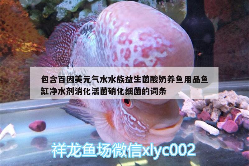 包含百因美元氣水水族益生菌酸奶養(yǎng)魚用品魚缸凈水劑消化活菌硝化細(xì)菌的詞條