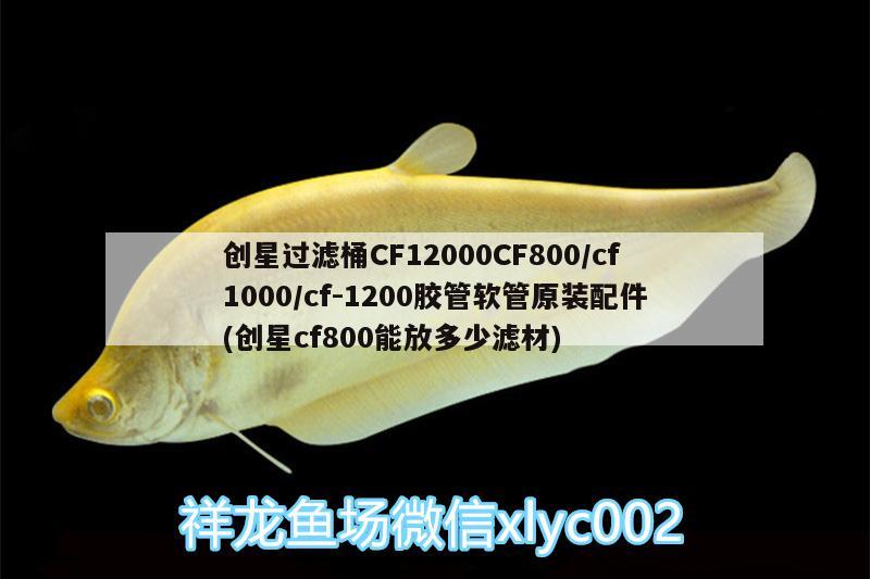 創(chuàng)星過濾桶CF12000CF800/cf1000/cf-1200膠管軟管原裝配件(創(chuàng)星cf800能放多少濾材) 廣州水族器材濾材批發(fā)市場