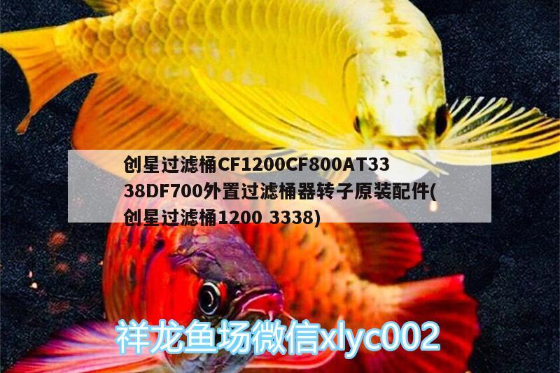 創(chuàng)星過濾桶CF1200CF800AT3338DF700外置過濾桶器轉子原裝配件(創(chuàng)星過濾桶12003338) 廣州水族器材濾材批發(fā)市場