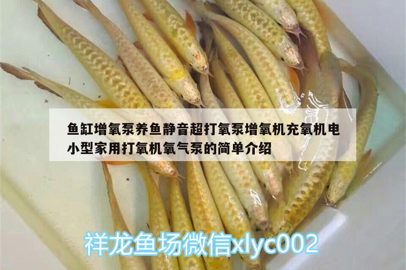 魚缸增氧泵養(yǎng)魚靜音超打氧泵增氧機(jī)充氧機(jī)電小型家用打氧機(jī)氧氣泵的簡(jiǎn)單介紹