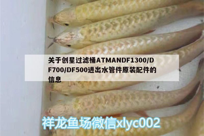 關(guān)于創(chuàng)星過濾桶ATMANDF1300/DF700/DF500進出水管件原裝配件的信息 廣州水族器材濾材批發(fā)市場