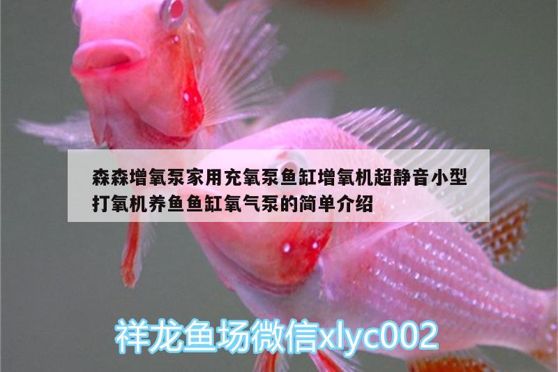 森森增氧泵家用充氧泵魚缸增氧機超靜音小型打氧機養(yǎng)魚魚缸氧氣泵的簡單介紹