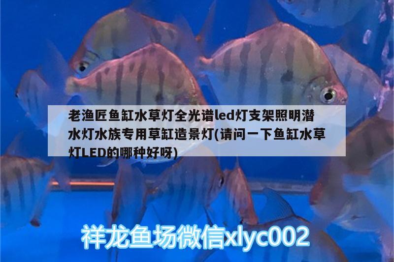 老漁匠魚缸水草燈全光譜led燈支架照明潛水燈水族專用草缸造景燈(請問一下魚缸水草燈LED的哪種好呀)