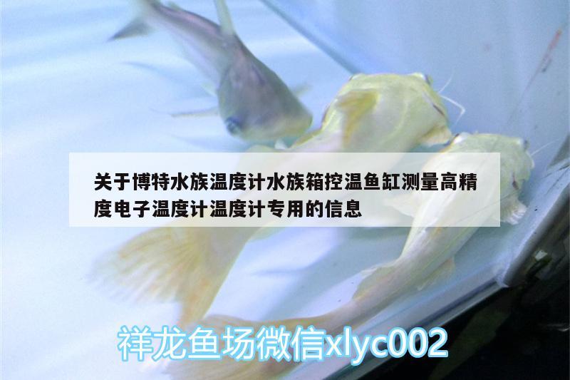 關(guān)于博特水族溫度計(jì)水族箱控溫魚(yú)缸測(cè)量高精度電子溫度計(jì)溫度計(jì)專(zhuān)用的信息 博特水族