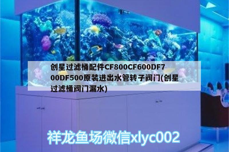 創(chuàng)星過濾桶配件CF800CF600DF700DF500原裝進出水管轉子閥門(創(chuàng)星過濾桶閥門漏水)