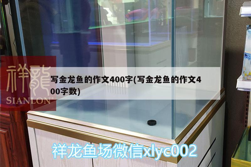 寫金龍魚的作文400字(寫金龍魚的作文400字?jǐn)?shù))