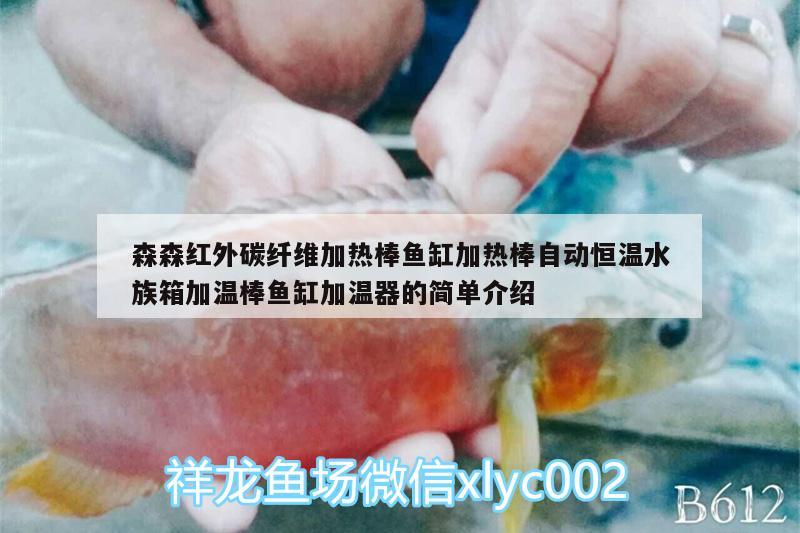 森森紅外碳纖維加熱棒魚缸加熱棒自動恒溫水族箱加溫棒魚缸加溫器的簡單介紹