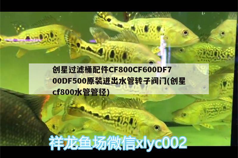 創(chuàng)星過(guò)濾桶配件CF800CF600DF700DF500原裝進(jìn)出水管轉(zhuǎn)子閥門(mén)(創(chuàng)星cf800水管管徑) 廣州水族器材濾材批發(fā)市場(chǎng)