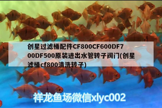 創(chuàng)星過濾桶配件CF800CF600DF700DF500原裝進出水管轉子閥門(創(chuàng)星濾桶cf800清洗轉子)