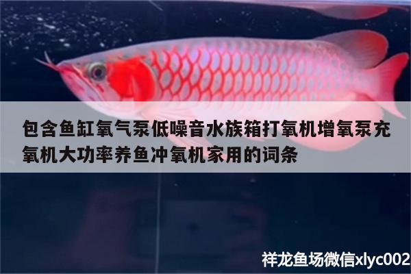 包含魚缸氧氣泵低噪音水族箱打氧機(jī)增氧泵充氧機(jī)大功率養(yǎng)魚沖氧機(jī)家用的詞條