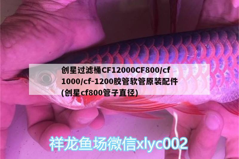 創(chuàng)星過濾桶CF12000CF800/cf1000/cf-1200膠管軟管原裝配件(創(chuàng)星cf800管子直徑) 廣州水族器材濾材批發(fā)市場