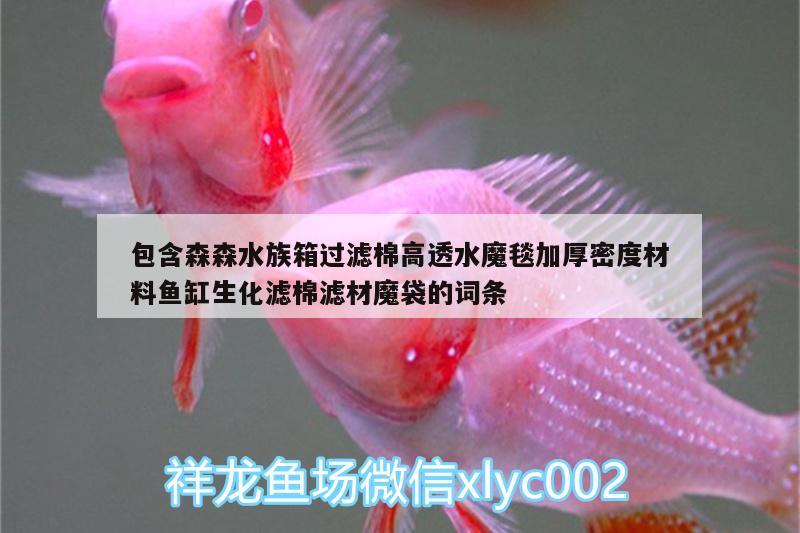 包含森森水族箱過(guò)濾棉高透水魔毯加厚密度材料魚(yú)缸生化濾棉濾材魔袋的詞條