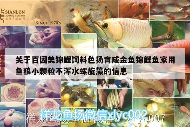 關(guān)于百因美錦鯉飼料色揚育成金魚錦鯉魚家用魚糧小顆粒不渾水螺旋藻的信息