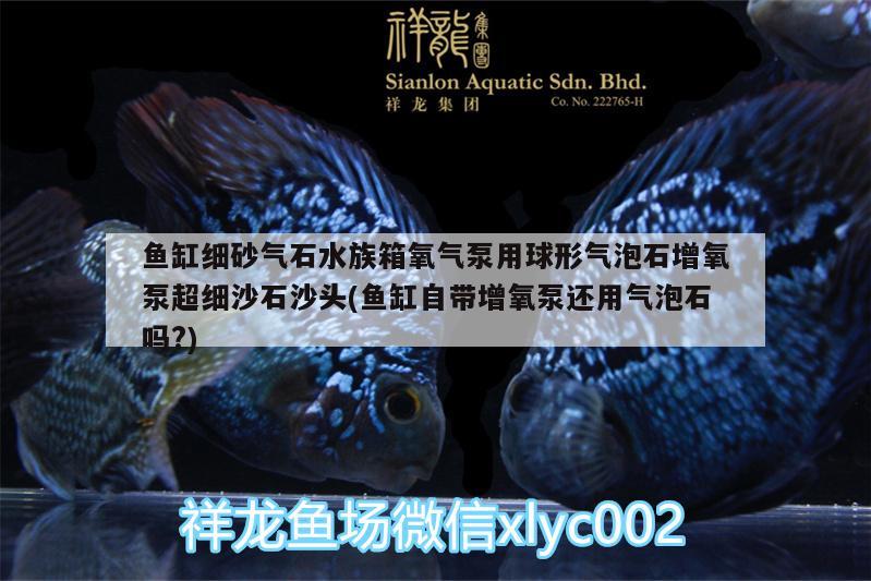 魚缸細砂氣石水族箱氧氣泵用球形氣泡石增氧泵超細沙石沙頭(魚缸自帶增氧泵還用氣泡石嗎?)