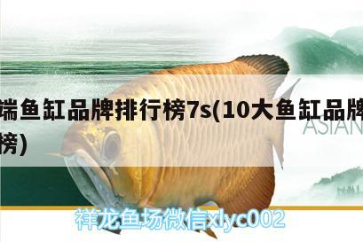 高端魚缸品牌排行榜7s(10大魚缸品牌排行榜) 野生地圖魚