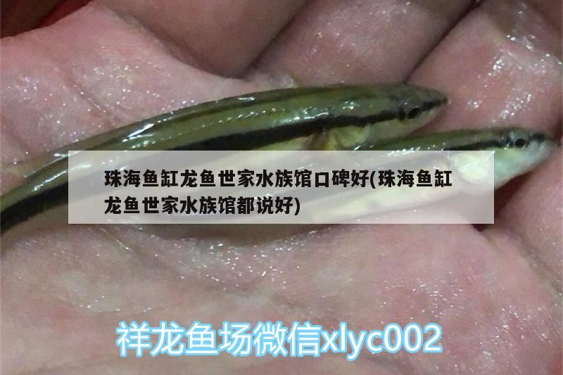 珠海魚缸龍魚世家水族館口碑好(珠海魚缸龍魚世家水族館都說好)