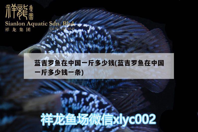 藍(lán)吉羅魚(yú)在中國(guó)一斤多少錢(qián)(藍(lán)吉羅魚(yú)在中國(guó)一斤多少錢(qián)一條) 泰龐海蓮魚(yú)