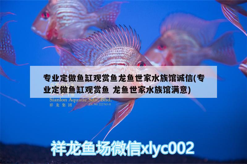 專業(yè)定做魚缸觀賞魚龍魚世家水族館誠信(專業(yè)定做魚缸觀賞魚龍魚世家水族館滿意) 藍(lán)底過背金龍魚