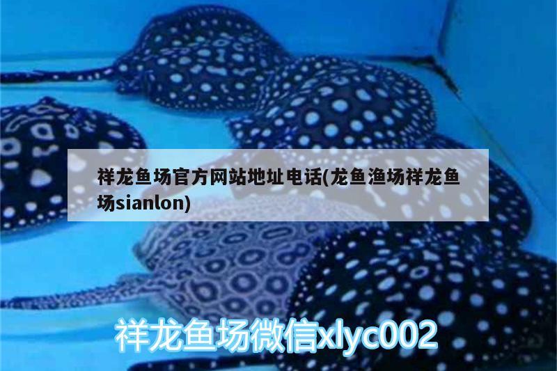 祥龍魚場官方網(wǎng)站地址電話(龍魚漁場祥龍魚場sianlon)