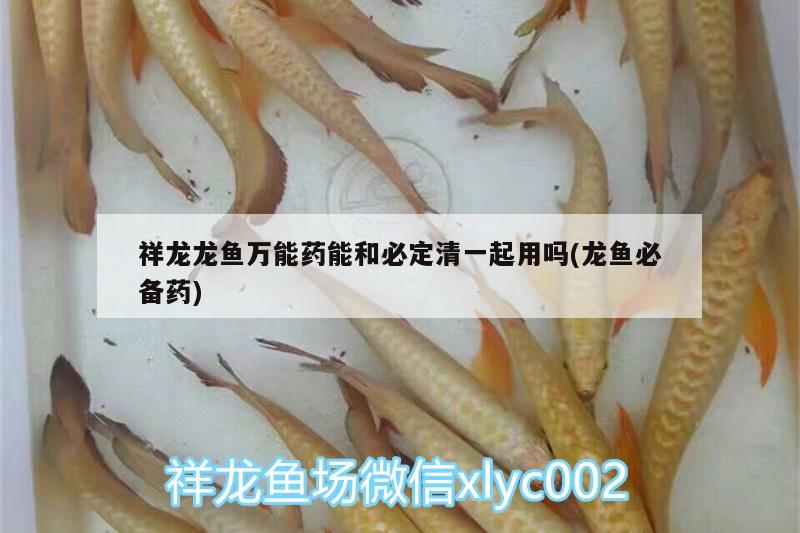 祥龍龍魚萬能藥能和必定清一起用嗎(龍魚必備藥)