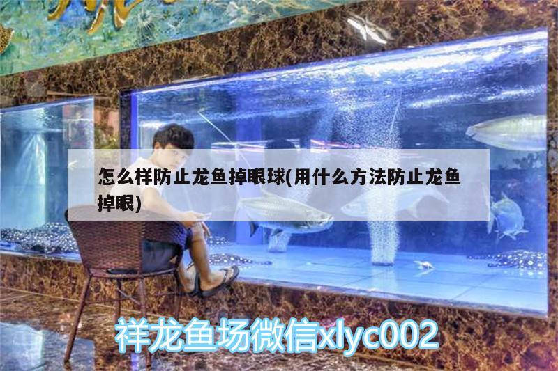 怎么樣防止龍魚掉眼球(用什么方法防止龍魚掉眼)