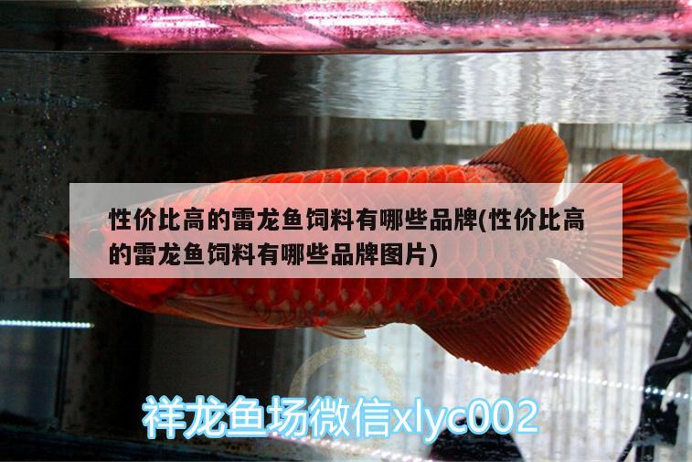 性價(jià)比高的雷龍魚飼料有哪些品牌(性價(jià)比高的雷龍魚飼料有哪些品牌圖片) 名貴錦鯉魚